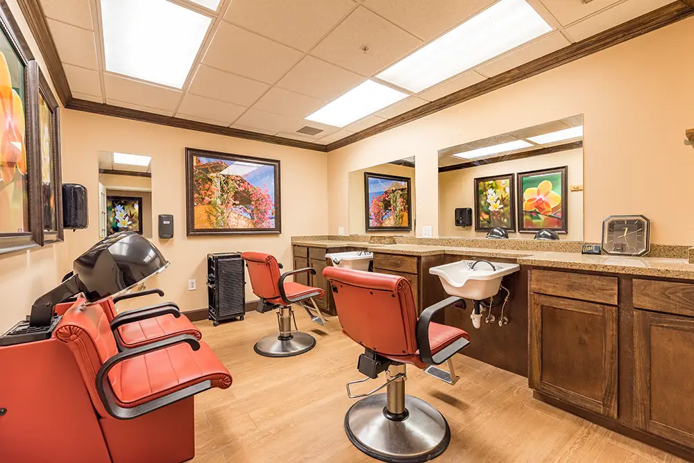 Salon Salon