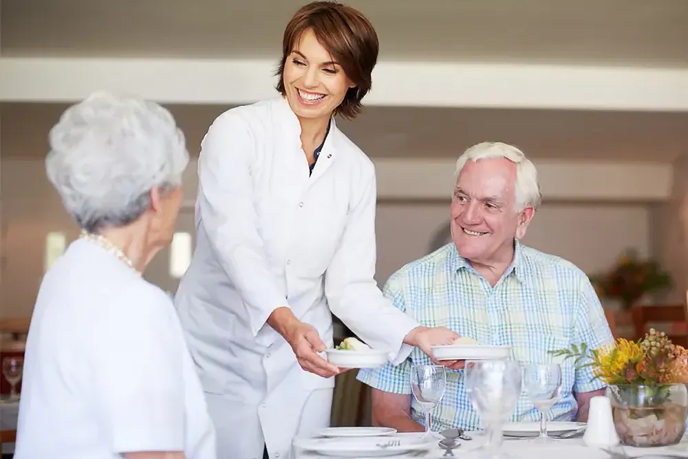 dining-MS Delicious plate of food